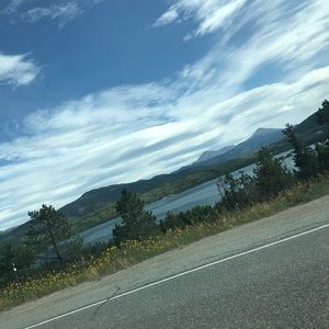 Meet your Posher, Gracie